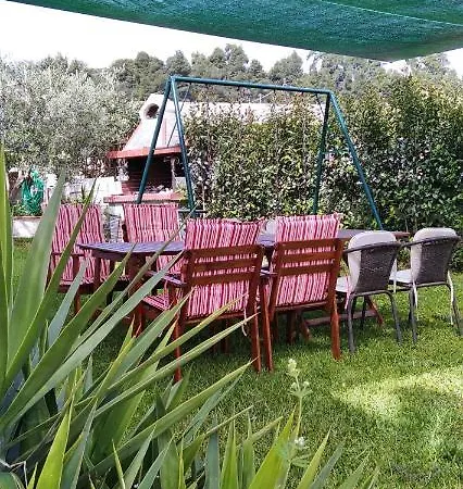 The Garden 2 *
