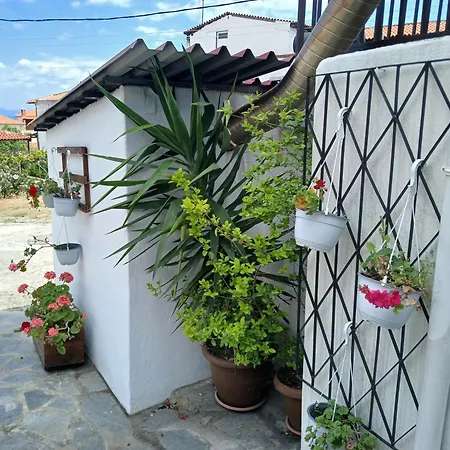 The Garden 2