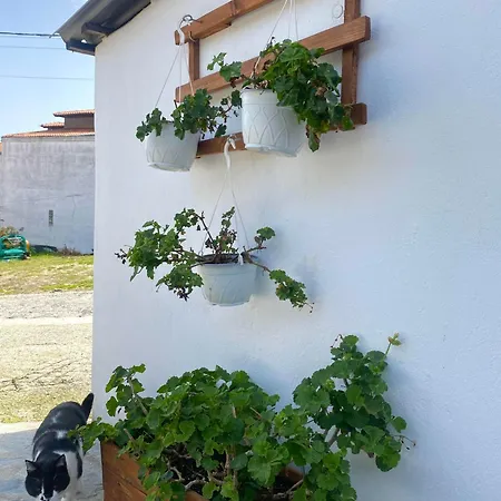 The Garden 2 Апартаменты *